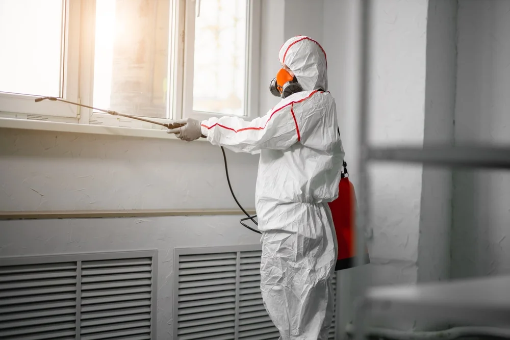 Professional mold remediation services in Bountiful, UT